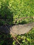 Velykyy-Rakovets-tstone-171