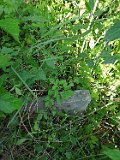 Velykyy-Rakovets-tstone-257