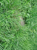 Vergni-Studenyy-1-tombstone-009