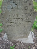 Vilkhivka-stone-027