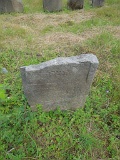 Vilkhivka-stone-033