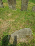 Vilkhivka-stone-051
