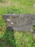 Vilkhivka-stone-136