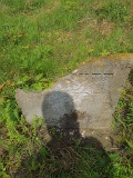 Vilkhivka-stone-140