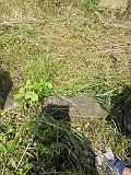 Vilkhivka-stone-215