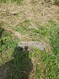 Vilkhivka-stone-243