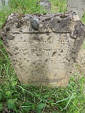Vilkhivka-stone-257