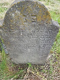 Vilkhivka-stone-270