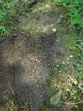 Vilhivtsy-Cem-1-tstone-33