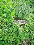 Vilshynky-tombstone-06
