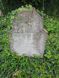 Vynohradiv-Old-tstone-0035
