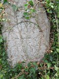 Vynohradiv-Old-tstone-0039