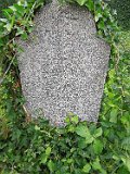 Vynohradiv-Old-tstone-0048