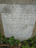 Vynohradiv-Old-tstone-0186