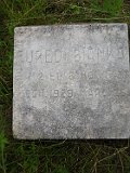 Vynohradiv-Old-tstone-0193