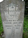 Vynohradiv-Old-tstone-0262