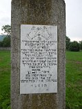 Vynohradiv-Old-tstone-0296