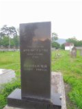 Vynohradiv-Old-tstone-0400