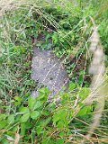 Vynohradiv-Old-tstone-0639