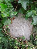Vynohradiv-Old-tstone-0709