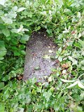 Vynohradiv-Old-tstone-0903