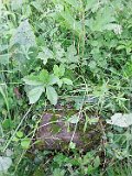 Vynohradiv-Old-tstone-0961