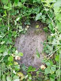 Vynohradiv-Old-tstone-0997