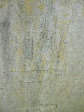 Vynohradiv-Old-tstone-1942