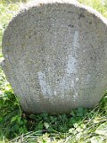Vynohradiv-Old-tstone-2031