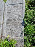 Vynohradiv-Old-tstone-2092