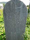 Vynohradiv-Old-tstone-2184