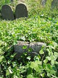 Vynohradiv-Old-tstone-2190