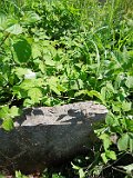 Vynohradiv-Old-tstone-2236