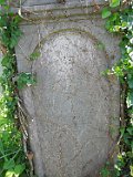 Vynohradiv-Old-tstone-2252
