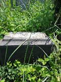 Vynohradiv-Old-tstone-2255