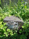 Vynohradiv-Old-tstone-2259