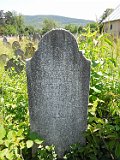 Vynohradiv-Old-tstone-2284