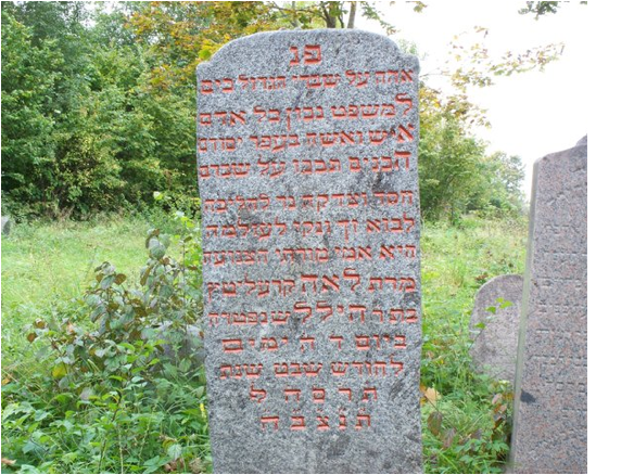 image011.jpg