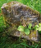 Zarichovo-tstone-11