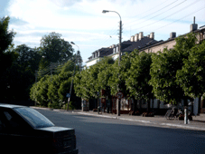 Zloczew Poland school