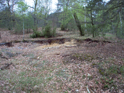 Zloczew Poland Jewish cemetery