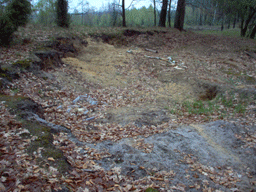 Zloczew Poland Jewish cemetery