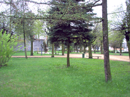 Zloczew Poland Jewish cemetary