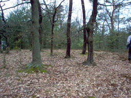Zloczew Poland Jewish cemetery