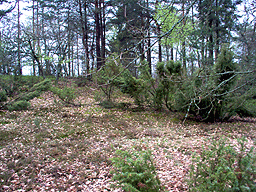 Zloczew Poland Jewish cemetery