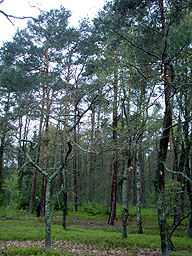 Zloczew Poland Jewish cemetery