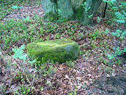 Zloczew Poland Jewish cemetery