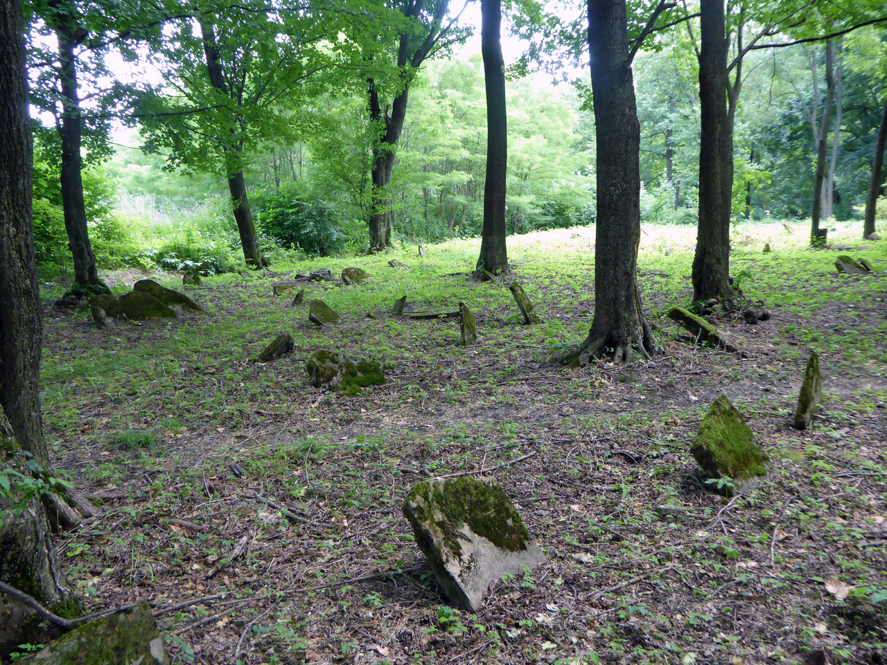 The Old Cemetery