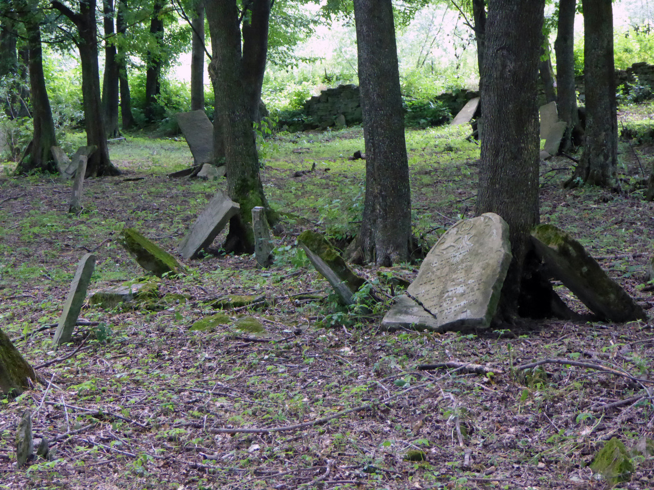 The Old Cemetery