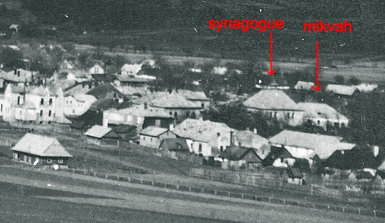 Dukla
        Photo Fig8